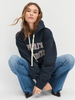 THE COLLEGIATE HOODIE