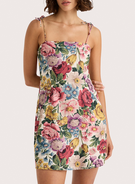 Ysla Mini Floral Dress