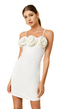 FLOR MINI DRESS *Last One - XS*